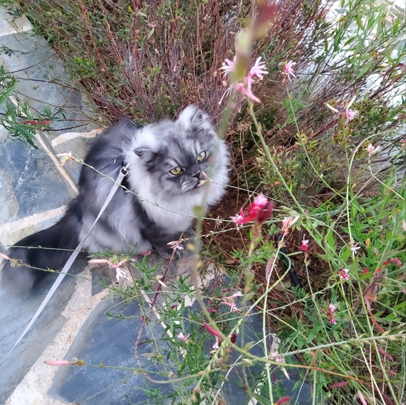 Meet your Posher, Vera - Picture 14 of 15